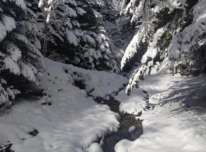 4 Personnes Au Pied Des Piste Plateau De Bonascre - Ax 3 Domaines Ete Hiver Apartment