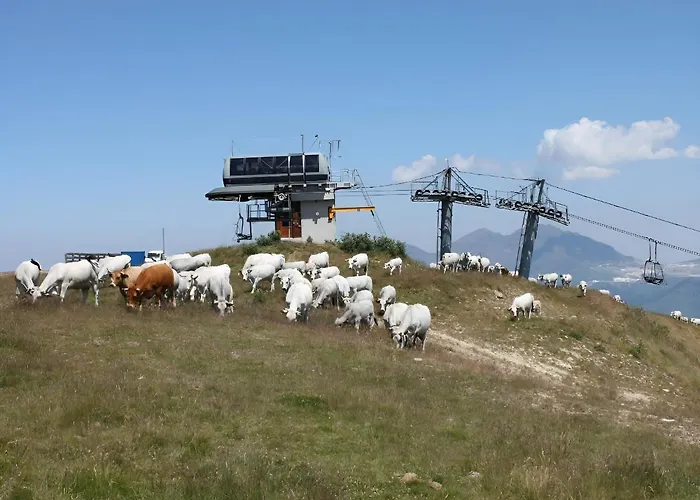 4 Personnes Au Pied Des Piste Plateau De Bonascre - Ax 3 Domaines Ete Hiver * Ax-les-Thermes