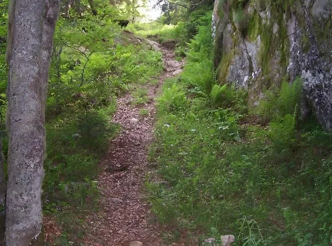 4 Personnes Au Pied Des Piste Plateau De Bonascre - Ax 3 Domaines Ete Hiver