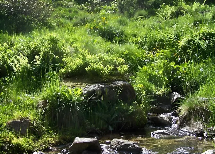 4 Personnes Au Pied Des Piste Plateau De Bonascre - Ax 3 Domaines Ete Hiver Apartment *