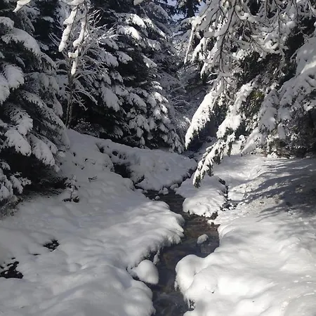 4 Personnes Au Pied Des Piste Plateau De Bonascre - Ax 3 Domaines Ete Hiver Apartment