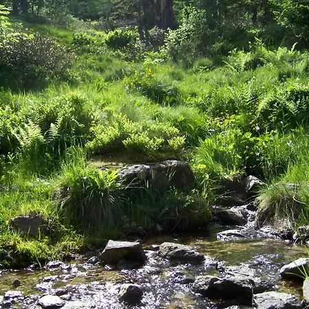 4 Personnes Au Pied Des Piste Plateau De Bonascre - Ax 3 Domaines Ete Hiver Daire *